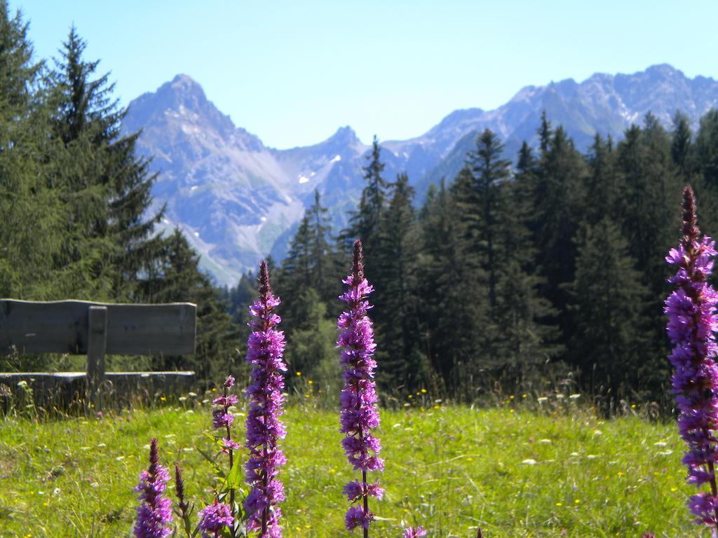 Hotel Garni Brigitte Bürserberg Pokoj fotografie